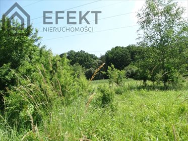 działka na sprzedaż 1566m2 działka Piła Kościelecka