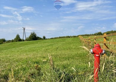 działka na sprzedaż 4296m2 działka Orzechówka