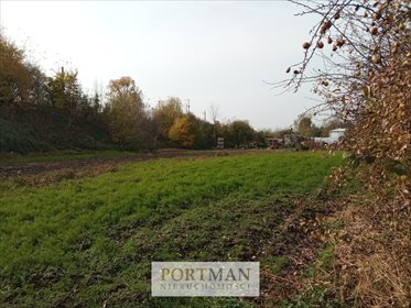 Dom na sprzedaż Glinki 17 000m2 Foto 6