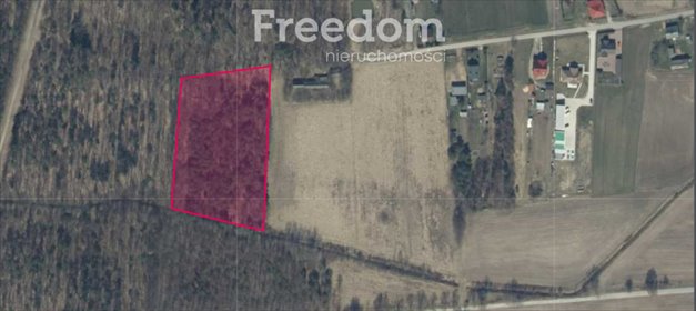 Działka leśna 1 ha w Policznej, idealna na inwestycję! polecam! działka Policzna, Osiedlowa