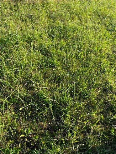 działka na sprzedaż 2000m2 działka Sarbinowo, Sarbinowo