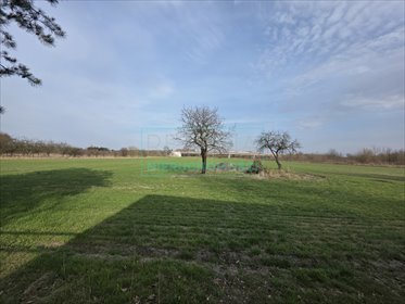 działka na sprzedaż 3150m2 działka Kozery