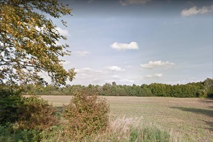 Działka siedliskowa na sprzedaż Międzylesie, Rogoźno 15 794m2 Foto 1