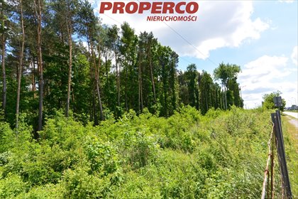 Działka usługowa 4482 m² z dojazdem asfaltowym polecam działka Kielce, Ks. Ściegiennego
