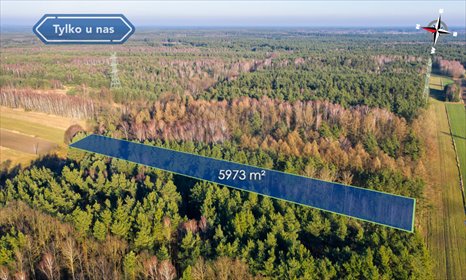działka na sprzedaż 5973m2 działka Borowe