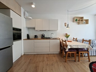 Mieszkanie na wynajem 30m2 mieszkanie Poznań, Winogrady, Hawelańska