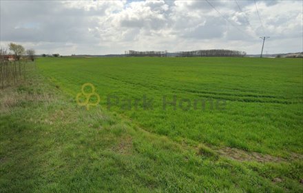 działka na sprzedaż 5180m2 działka Śmigiel