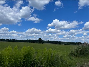 działka na sprzedaż 13200m2 działka Wólka Radzymińska