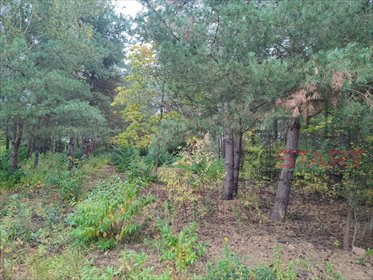 Działka 3107 m² - blisko natury i Warszawy działka Łoś