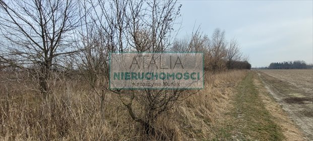 Działka rolna 4,87ha z prądem w Kotowicach działka Kotowice