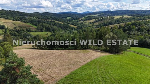 Zapraszam do zakupu działki 0,44 ha z warunkami zabudowy w Woli Matiaszowej działka Solina, Wola Matiaszowa