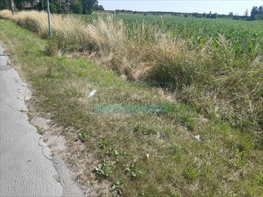 działka na sprzedaż 30000m2 działka Grodzisk Mazowiecki