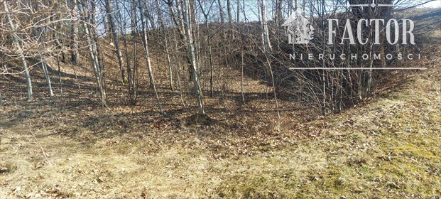 działka na sprzedaż 800m2 działka Stróżówka