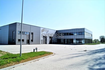 Magazyn na wynajem Poznań, Podolany, Podolany 1 400m2 Foto 3