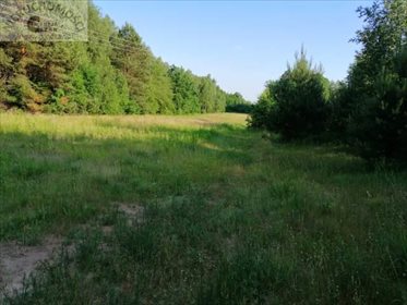 Działka budowlana na sprzedaż Lubomin 1 150m2 Foto 3