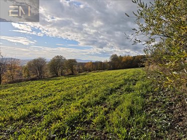 działka na sprzedaż 4300m2 działka Gogołów