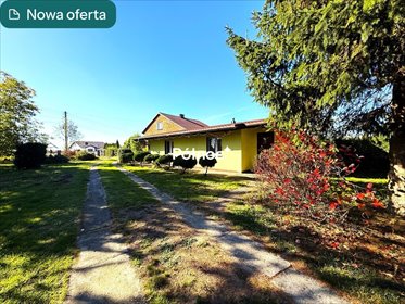 Urokliwy dom z stawem i lasem w Woli Jedlińskiej. dom Wola Jedlińska