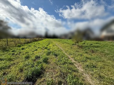 działka na sprzedaż 3200m2 działka Zielonki