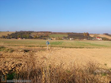 działka na sprzedaż 1420m2 działka Żerkowice