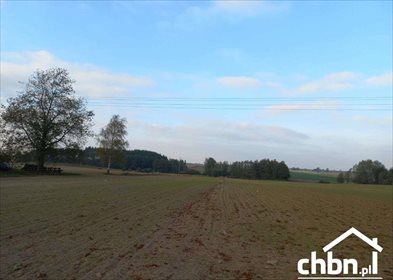 działka na sprzedaż 7092m2 działka Lubiewo