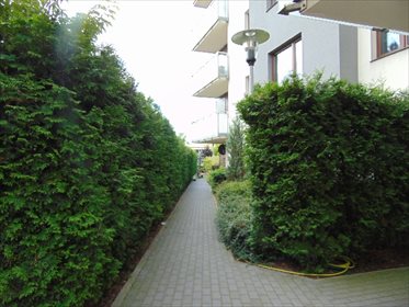 Mieszkanie trzypokojowe na wynajem Toruń, Mokre, Chełmińska 59m2 Foto 2