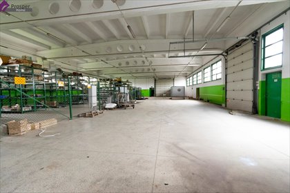 Hala usługowo-biurowa 637 m² z zapleczem (Mielec) lokal użytkowy Mielec, Lotniskowa