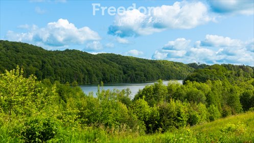 działka na sprzedaż 3012m2 działka Klonowo Dolne, Trakt Leśny