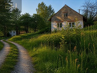 Dom do remontu z działką 0,272 ha, blisko lasu dom Lubenia