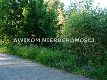 działka na sprzedaż 12500m2 działka Wiskitki, Antoniew