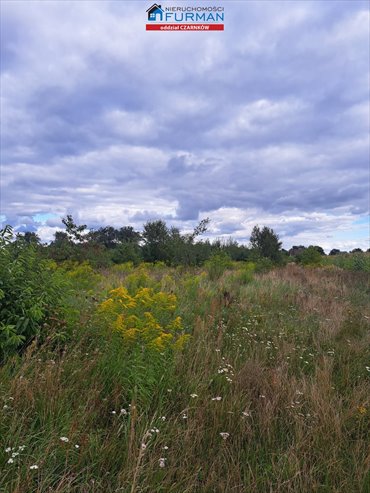 działka na sprzedaż 3632m2 działka Ługi Ujskie