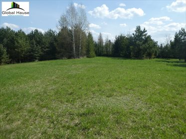 Działka inna na sprzedaż Bałamutowo 1 500m2 Foto 4