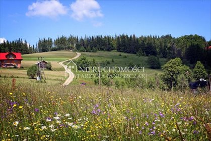 działka na sprzedaż 3076m2 działka Wisła