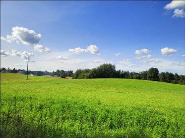 działka na sprzedaż 9900m2 działka Wołowno