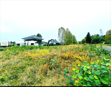 działka na sprzedaż 878m2 działka Miedziana Góra, Miedziana Góra
