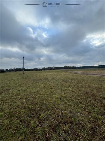 Działka budowlana 1381 m2 Krzywda - widok na tereny zielone działka Krzywda