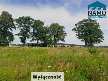 działka na sprzedaż 3746m2 działka Gołębiewo Wielkie, Wrzosowa