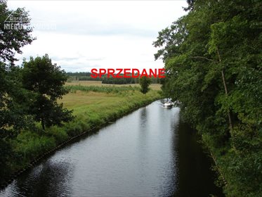Działka rolna na sprzedaż Lubień, Lubień 46 500m2 Foto 1