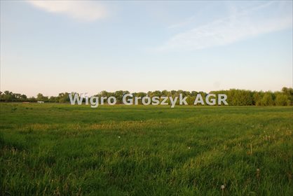 działka na sprzedaż 1170m2 działka Ośniki