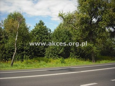 działka na sprzedaż 29964m2 działka Warszawa, Wesoła, Pohulanka