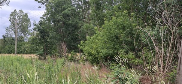Do sprzedania działka 880 m² w Kampinosie z mediami działka Wola Pasikońska