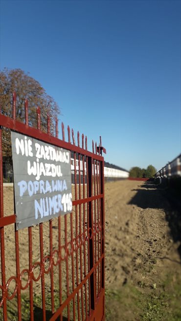 Działka rolna pod dzierżawę Warszawa, Wawer, Las, Poprawna 146 2 400m2 Foto 1
