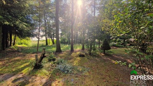 działka na sprzedaż 4391m2 działka Izbiszcze