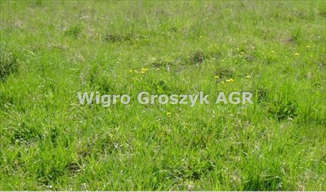 Działka rolna na sprzedaż Błogosławie 13 316m2 Foto 1