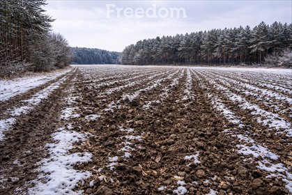 działka na sprzedaż 6183m2 działka Mienia
