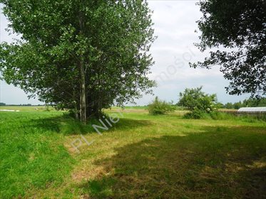 Działka siedliskowa na sprzedaż Jędrzejów Nowy 3 500m2 Foto 1