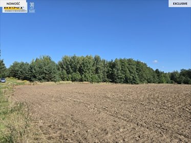 Na sprzedaż pięć działek 950-1126 m² w Chłopowie działka Chłopowo
