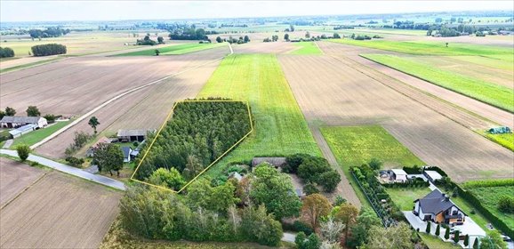 Do sprzedania działka 4463 m² w Woli Nowskiej z lasem działka Wola Nowska