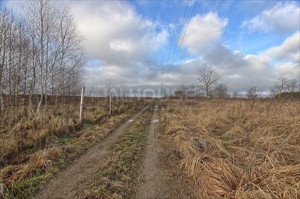 Działka rolna na sprzedaż Wąwelnica 1 191m2 Foto 7