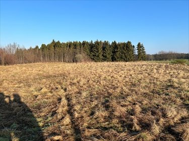 działka na sprzedaż 3435m2 działka Wiklino