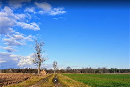 Działka rolna na sprzedaż Sobczyce, Kotla 26 600m2 Foto 1